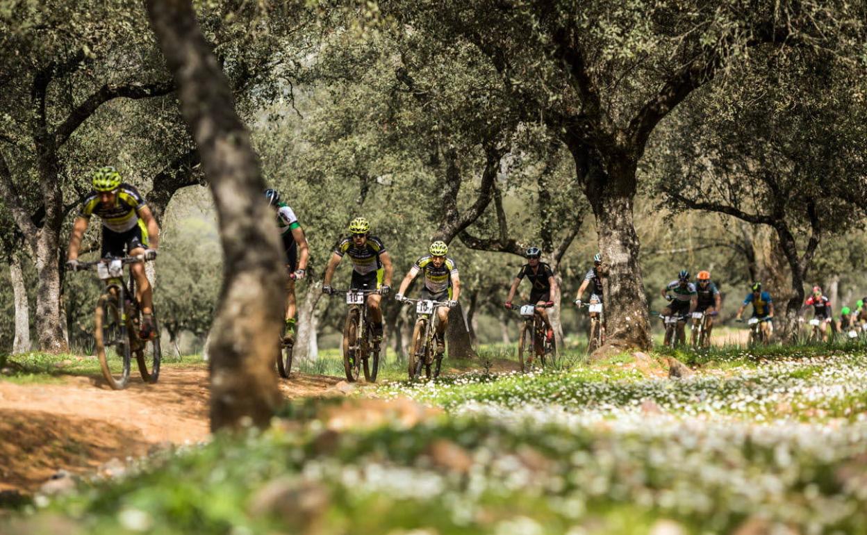 ja-n-acoge-hoy-la-salida-de-andaluc-a-bike-race-desde-la-catedral-ideal
